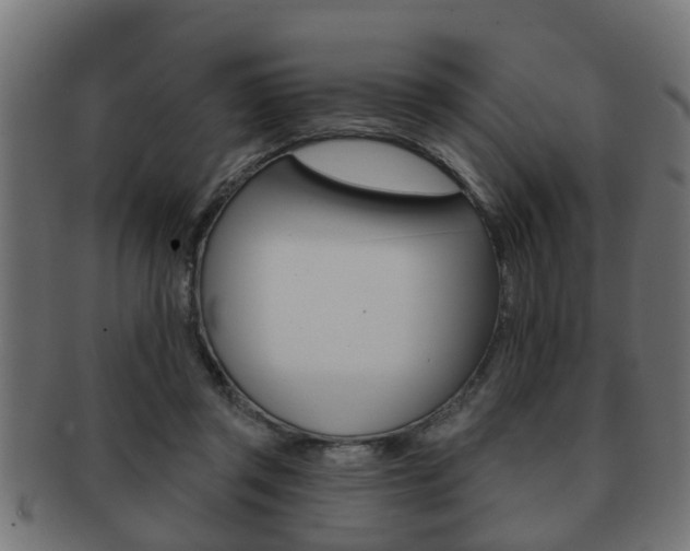 X0000091950357200709061044