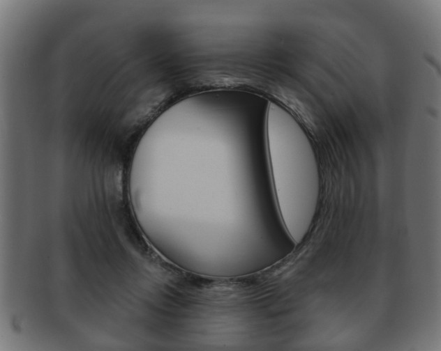 X0000091950358200709061044