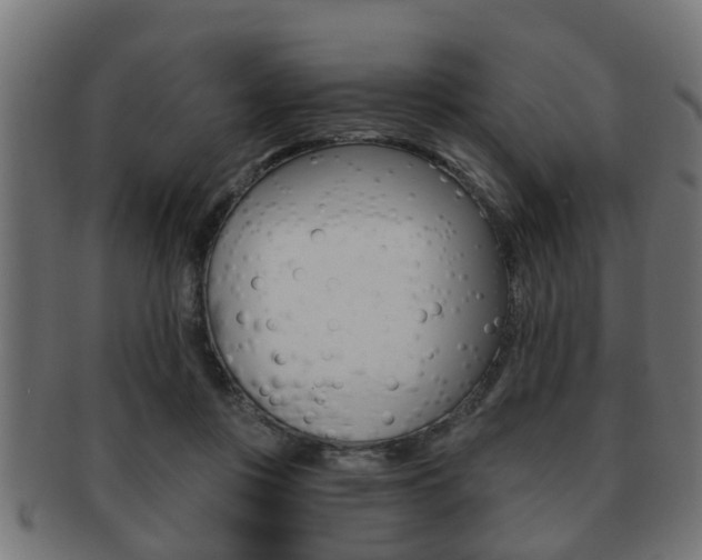 X0000091950359200709061044
