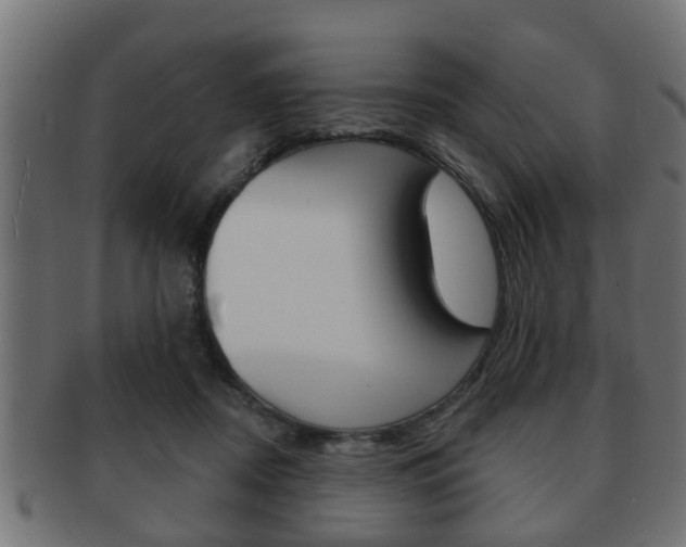 X0000091950362200709061044