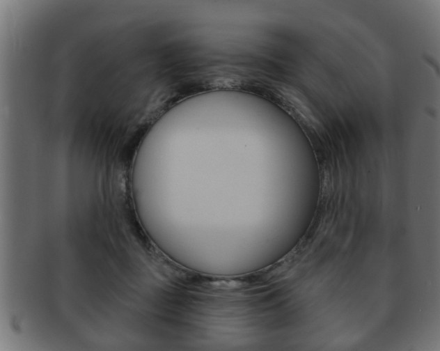 X0000091950363200709061044