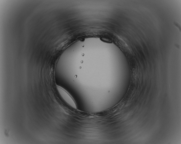 X0000091950364200709061044