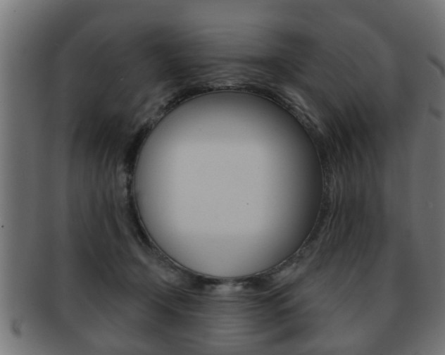 X0000091950366200709061044