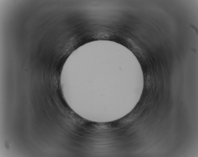 X0000091950370200709061044