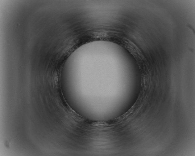 X0000091950372200709061044