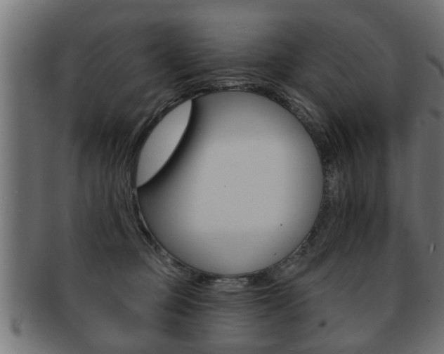 X0000091950373200709061044