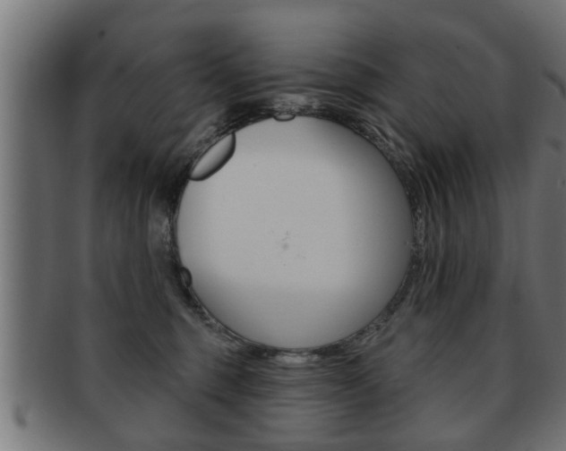 X0000091950375200709061044