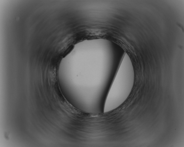 X0000091950376200709061044
