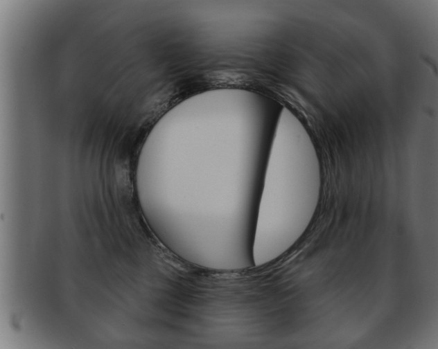 X0000091950377200709061044