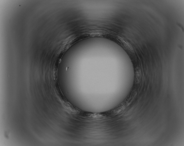 X0000091950379200709061045