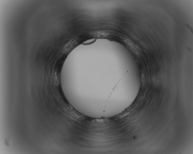 X0000091950381200709061045