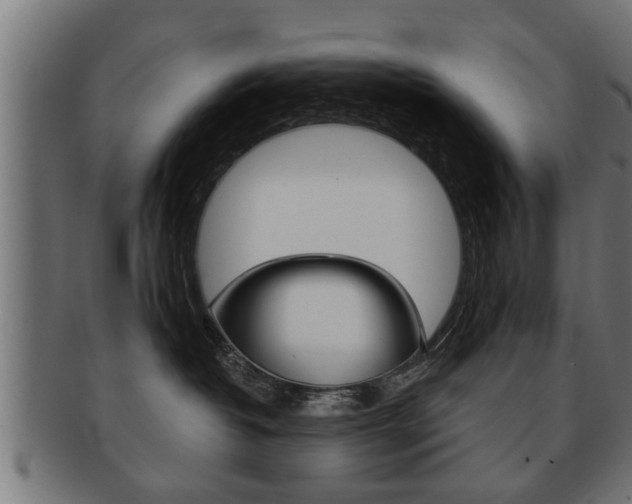 X0000091950382200709061045