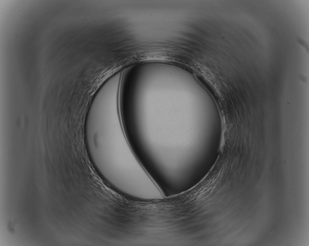 X0000091950385200709061044