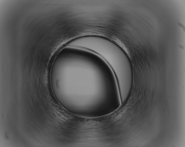 X0000091950387200709061044
