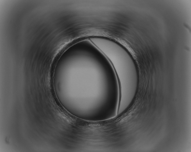 X0000091950391200709061044