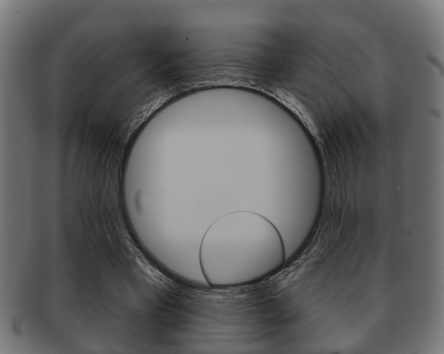 X0000091950393200709061044