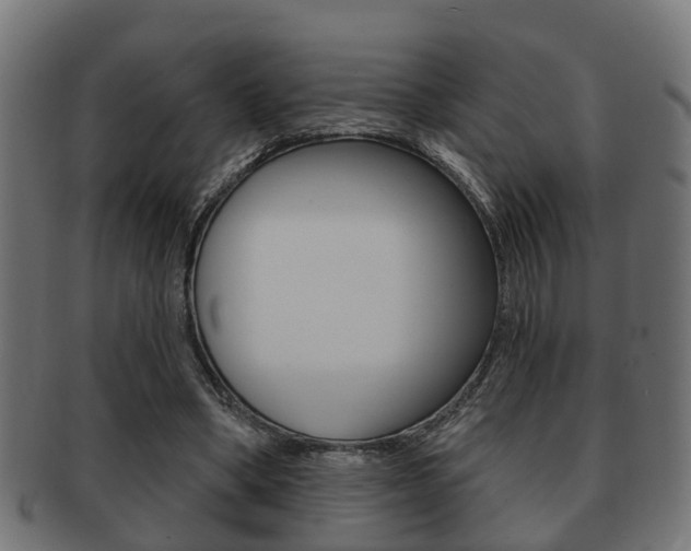 X0000091950394200709061044