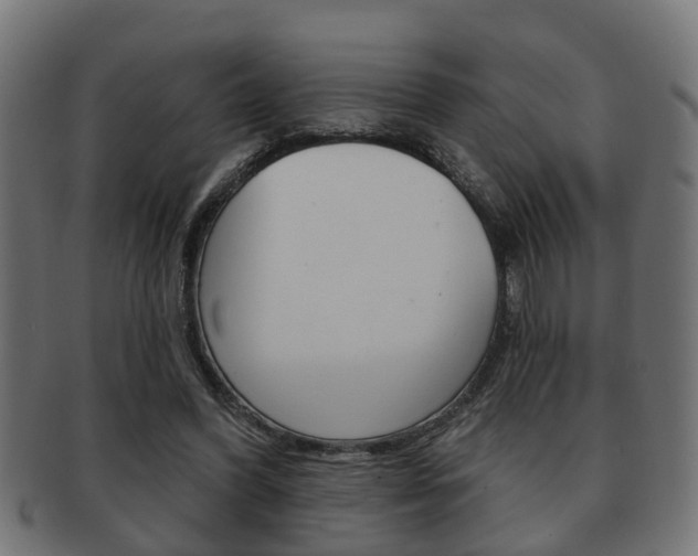 X0000091950396200709061044