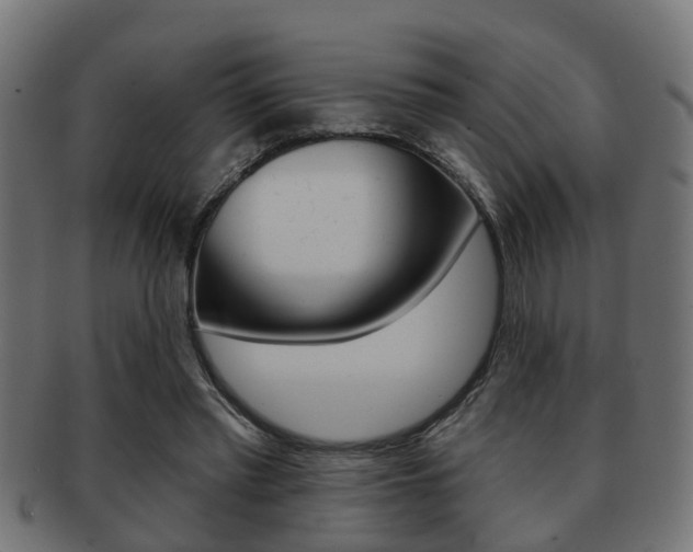 X0000091950397200709061044