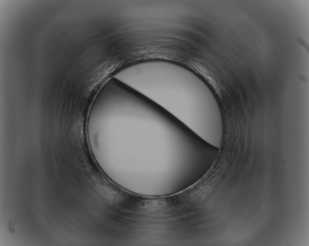 X0000091950398200709061044