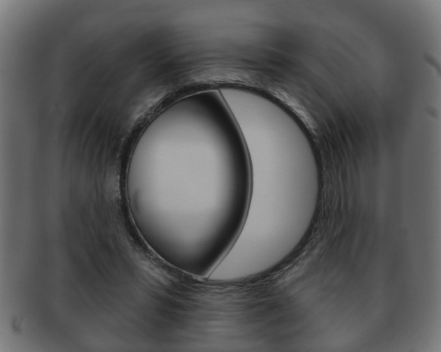 X0000091950399200709061044