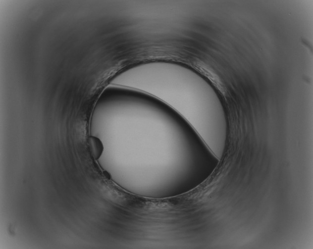 X0000091950401200709061044