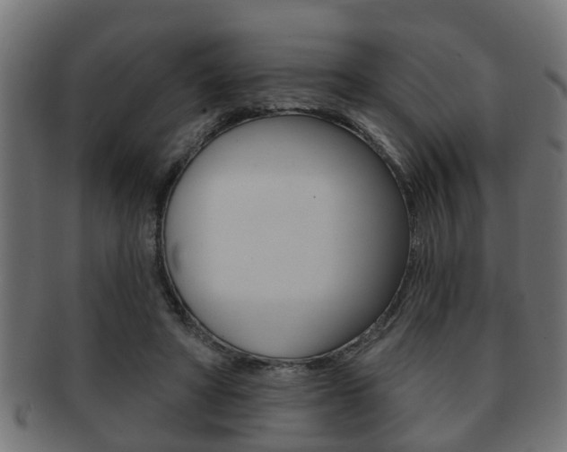 X0000091950402200709061044