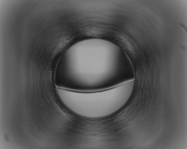 X0000091950404200709061044