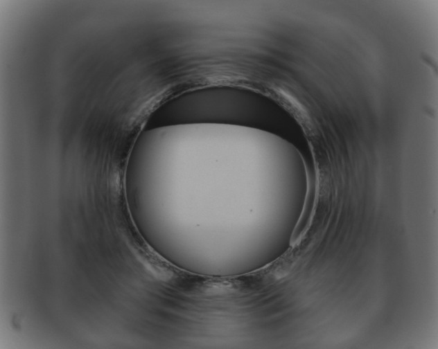 X0000091950405200709061044