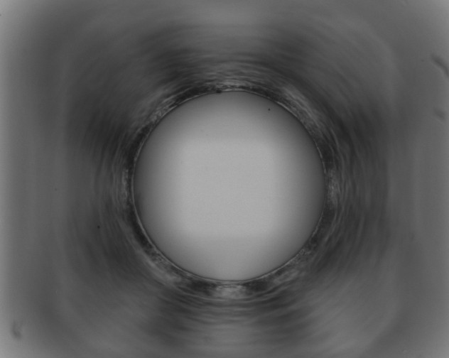 X0000091950410200709061044