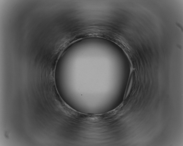 X0000091950411200709061044