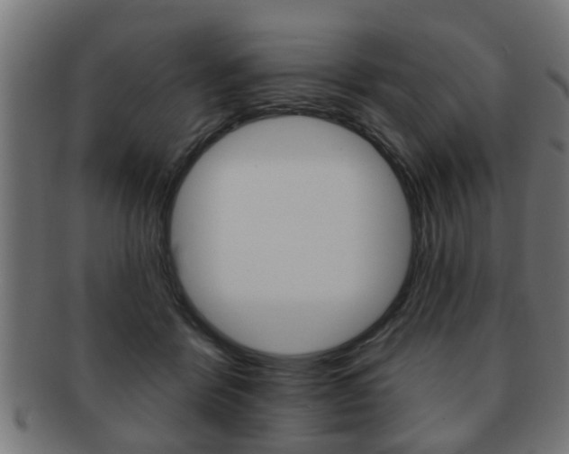 X0000091950412200709061044
