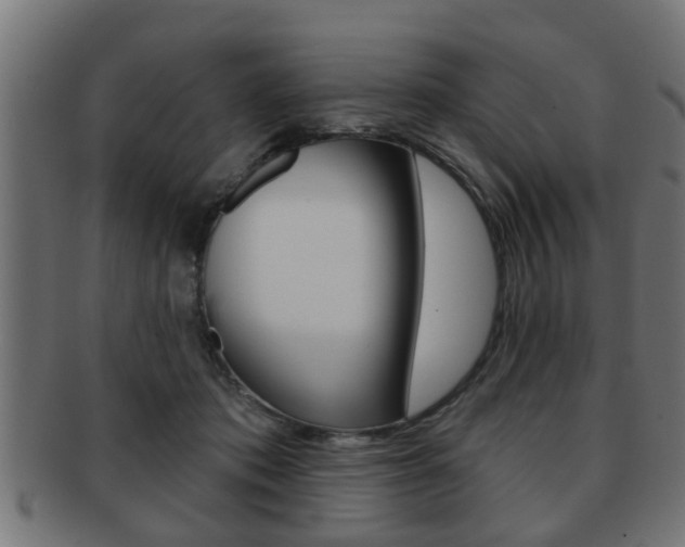 X0000091950413200709061044