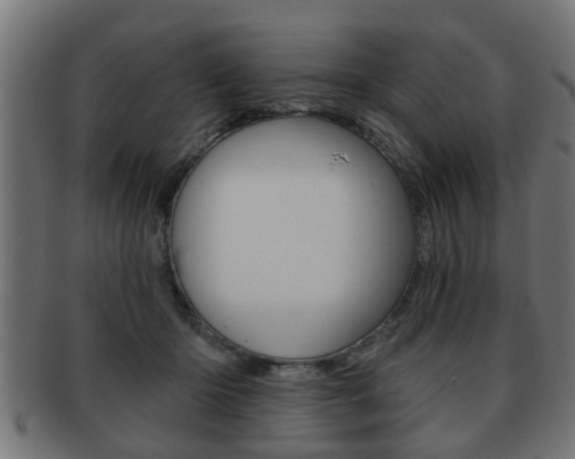 X0000091950414200709061044