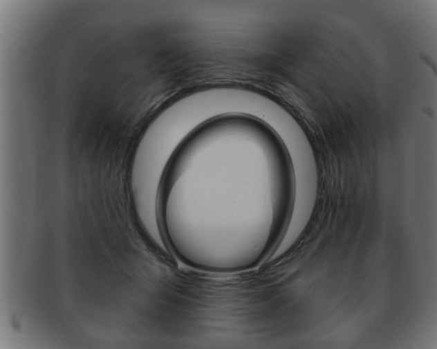 X0000091950415200709061044