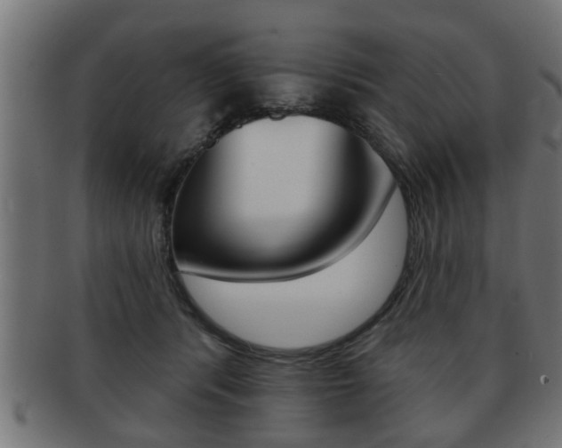 X0000091950416200709061044
