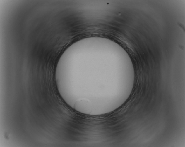 X0000091950417200709061044