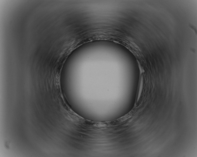 X0000091950419200709061044
