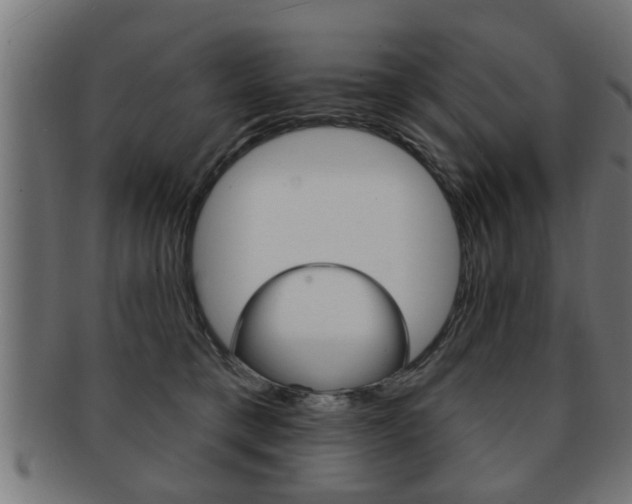 X0000091950421200709061044