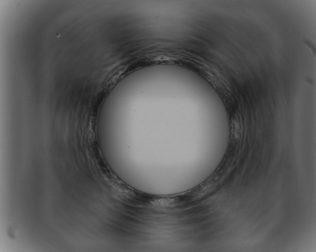 X0000091950422200709061044