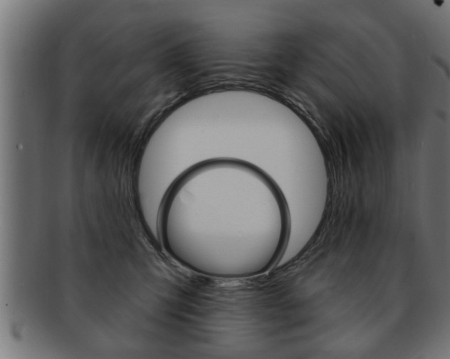 X0000091950423200709061044