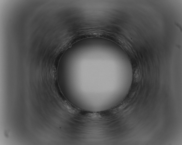 X0000091950424200709061044