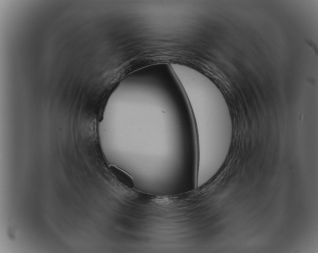 X0000091950425200709061044