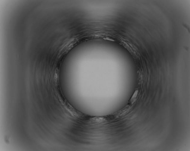 X0000091950427200709061044