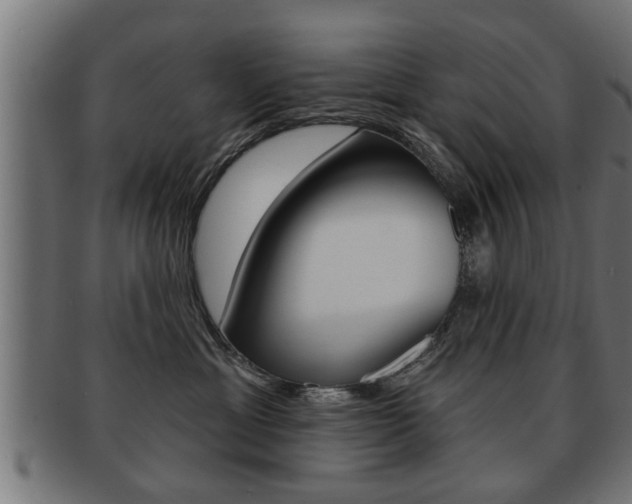 X0000091950429200709061043
