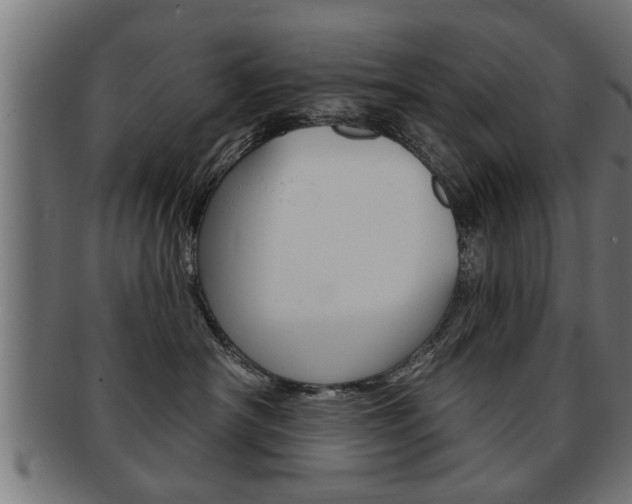 X0000091950430200709061043