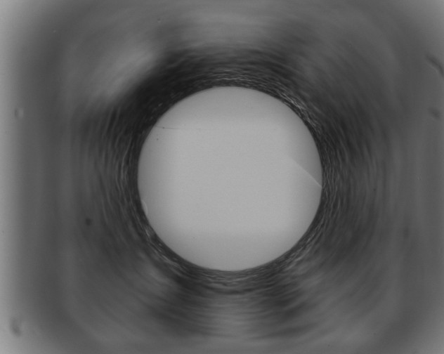 X0000091950431200709061043