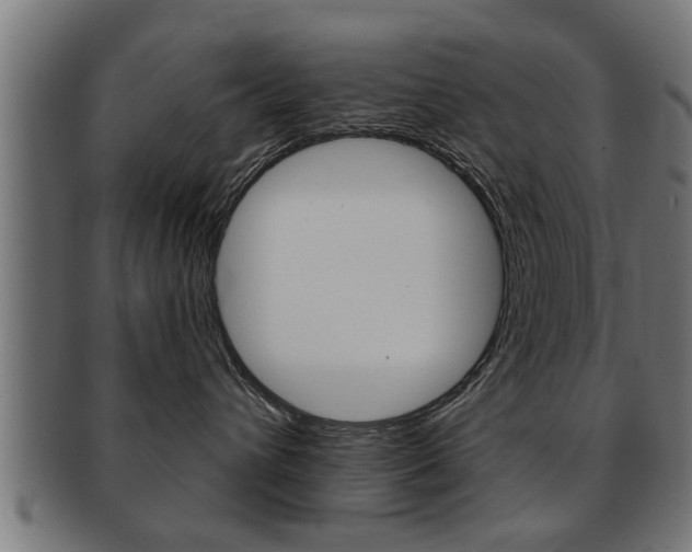 X0000091950432200709061043