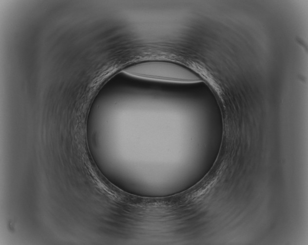 X0000091950433200709061043