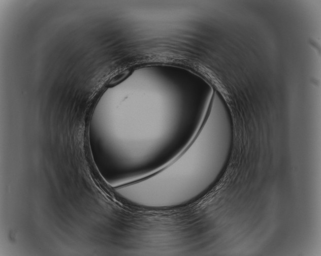 X0000091950434200709061043
